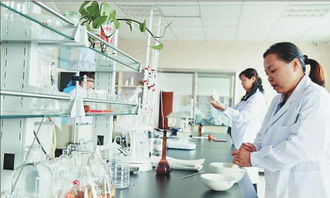 世界領(lǐng)先生物發(fā)酵木糖醇提取技術(shù)落戶依蘭