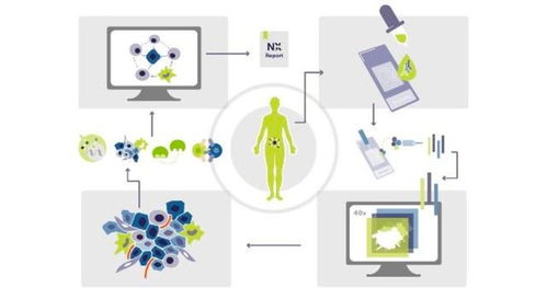 瑞士生物科技公司Navignostics 利用單細胞空間蛋白質組學重塑腫瘤精準治療